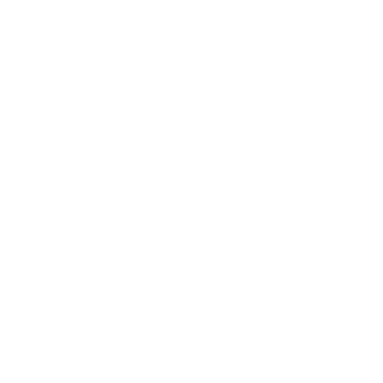 Discord Icon